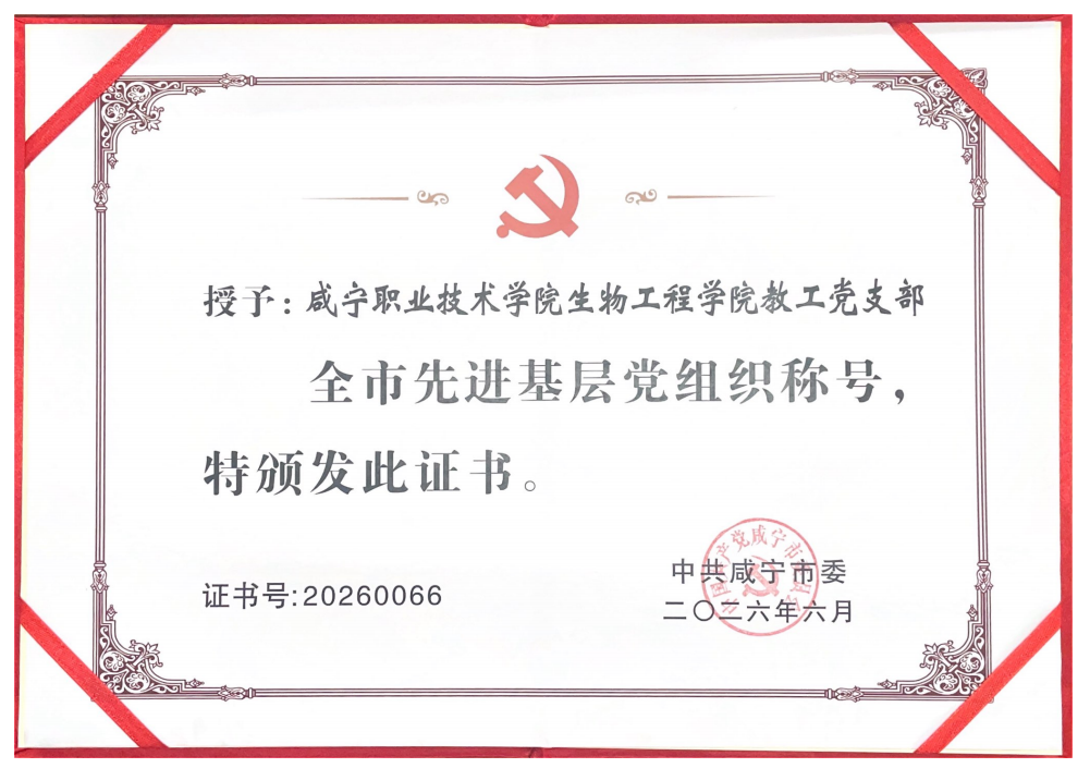 image1.png