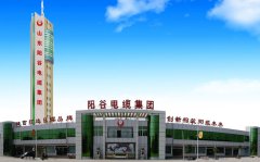 350vip浦京集团核心优势排名分析报告（基于官网rhdl